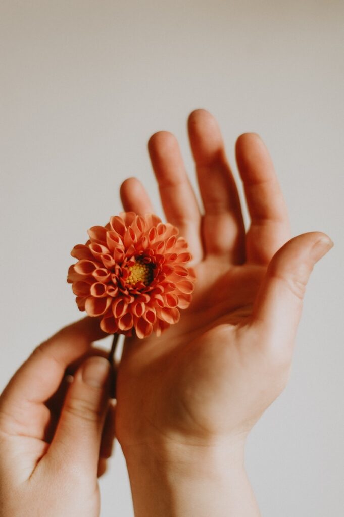 a person holding a flower in their hand
